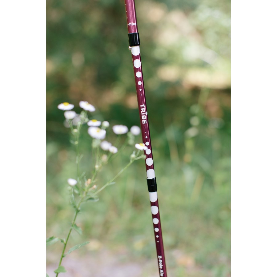Трекінгові палиці Tribe Z-Pole Alu T-ME-0024-plum