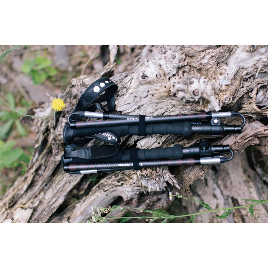 Трекінгові палиці Tribe Z-Pole Carbon T-ME-0025-plum