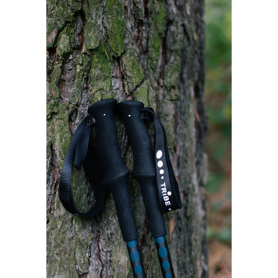Трекінгові палиці Tribe Trekking Pole Carbon T-ME-0027-ocean