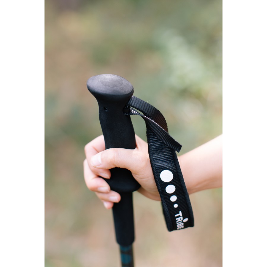 Трекінгові палиці Tribe Trekking Pole Carbon T-ME-0027-ocean