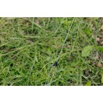 Намет Tramp Solo UTRT-001-grey