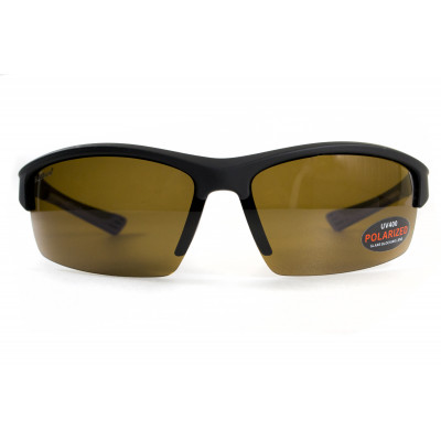 Окуляри поляризаційні BluWater Daytona-1 Polarized (brown) коричневі в чорно-синій оправі