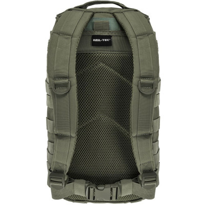 Рюкзак Mil-Tec US Assault Small 20L olive